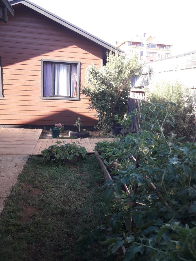 Cabanas Mister Nelson Valdivia Bagian luar foto